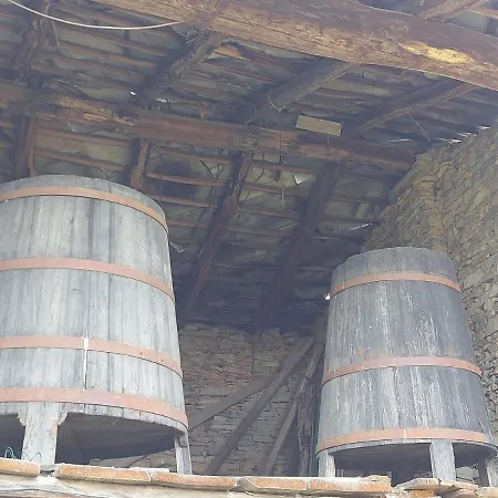 Apartmán Pelagallo